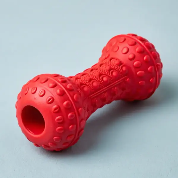 Nylabone Durable Chew Toy