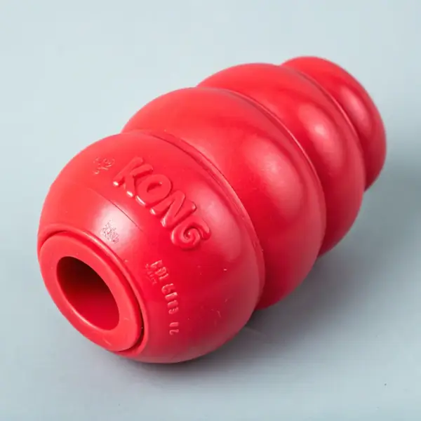 Kong Classic Squeaky Toy